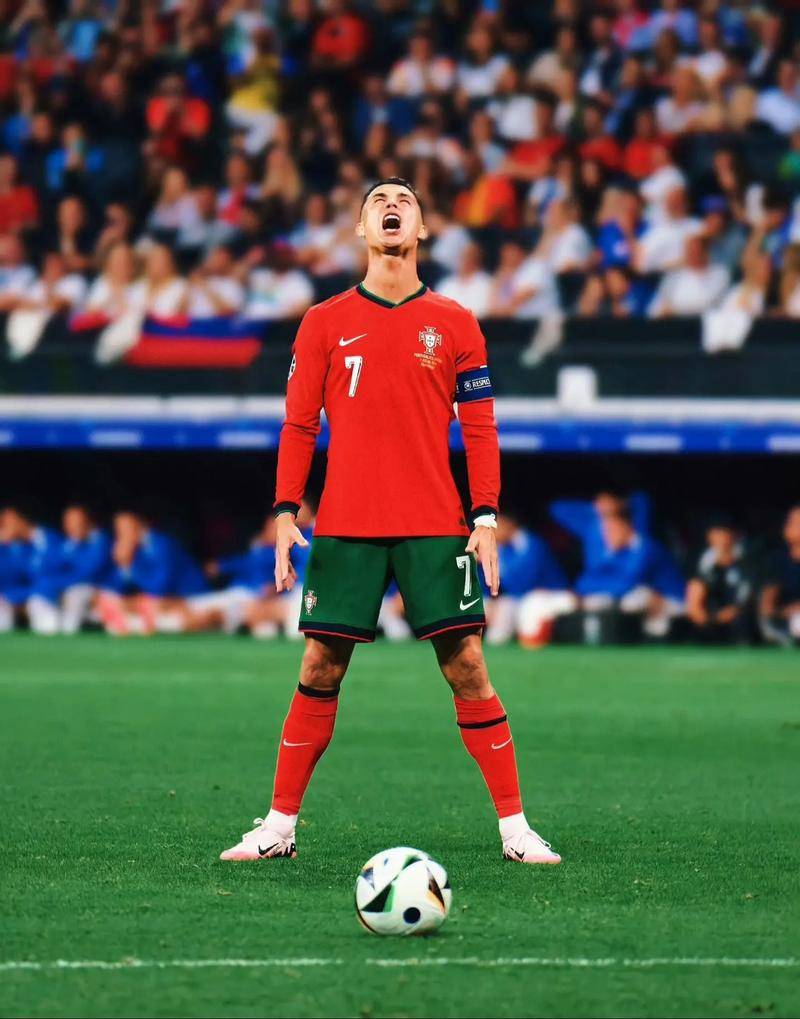 送上机会 送上机会