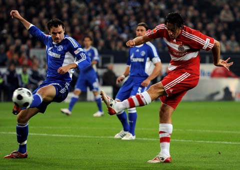 价引进多名 价引进多名