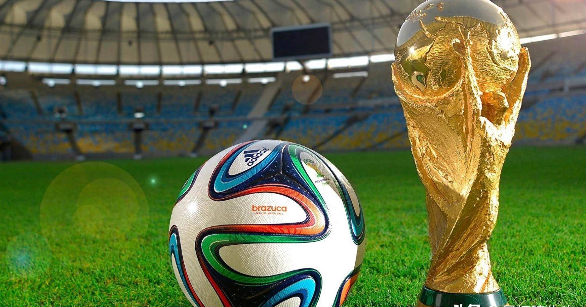 支持和球迷 支持和球迷