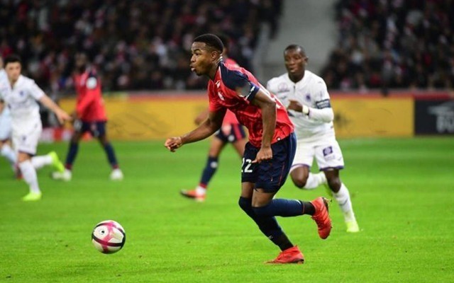 森的总成绩 森的总成绩